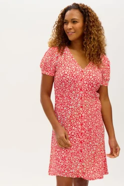 Flash Sale Gail Dress Rainbow Daisies Mini